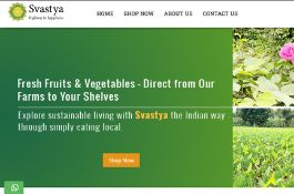 Shopify Organic Food products